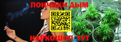 ALPHA PVP Камышлов