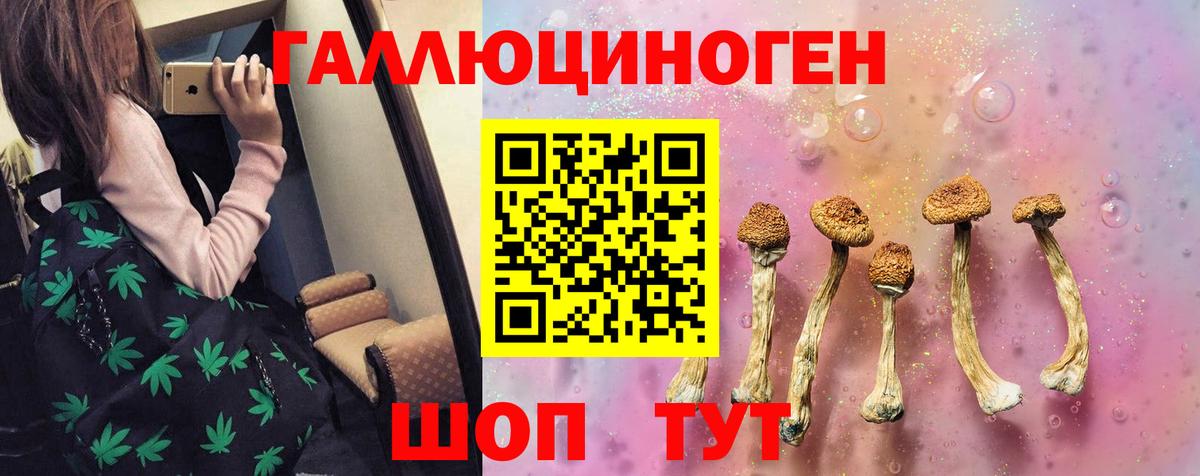 Лениногорск  Псилоцибиновые грибы GOLDEN TEACHER  Вход с VPN  Псилоцибиновые грибы GOLDEN TEACHER 